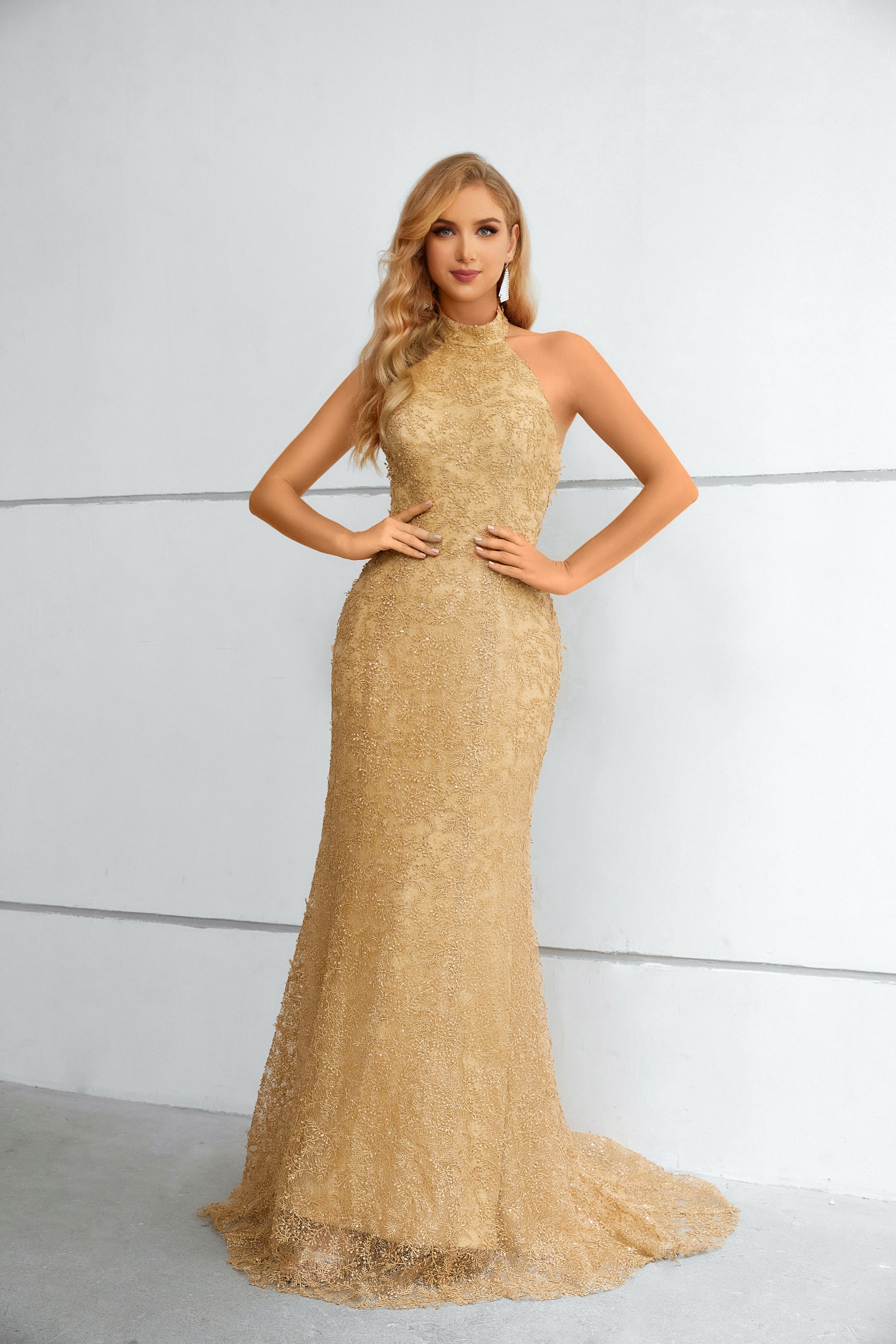 Champagne Halter Sleeveless Lace Mermaid Prom Dresses Champagne Halter Sleeveless Lace Mermaid Prom Dresses
