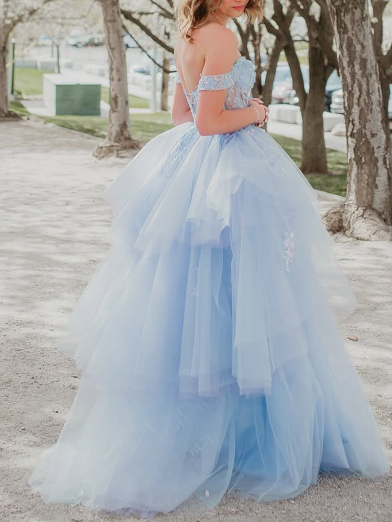 Illusion Bodice Lace Embroidery Ball Gown Prom Dress - Baby Blue