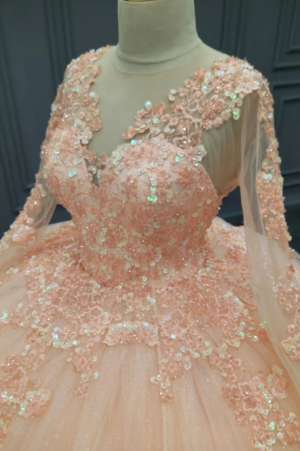 Ball Gown V Neck Long Sleeves 3D Flower Appliques Beaded Pink Tulle Evening Party Gown Quinceanera Dress for Sweet 16