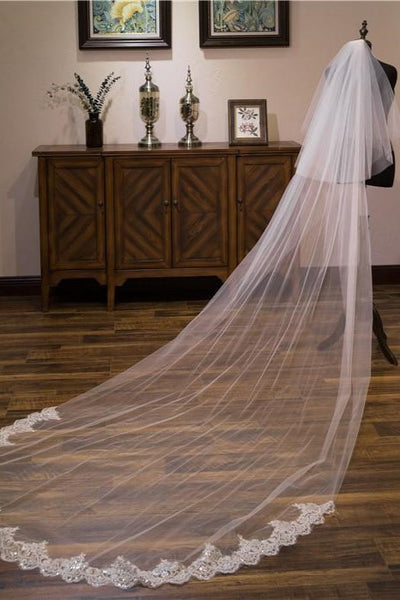 Tulle Bridal Veil With Lace main image 1