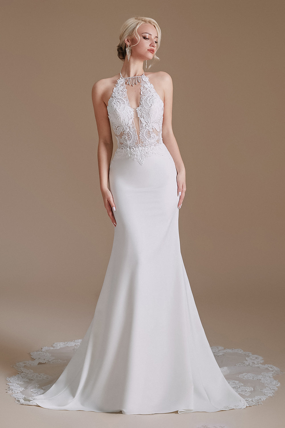 Mermaid Lace Appliques Elegant Backless Wedding Dresses