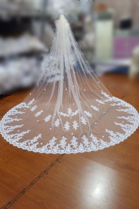 Charming Tulle Lace Applique Chapel Veils Long Wedding Veil