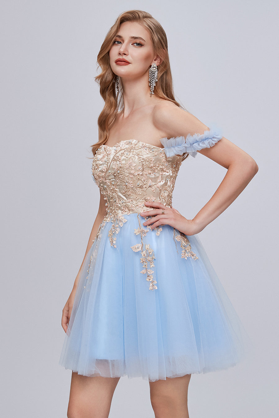 Off Shoulder Lace Appliques A Line Tulle Prom Dresses LBQ2002 main image 1