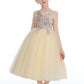 Daffodil Sleeveless V Back Tulle Flower Girl Dresses