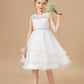 Ruffles Sleeveless Organza Applique Tulle Flower Girl Dresses With Rhinestone Sash