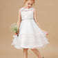Ruffles Sleeveless Organza Applique Tulle Flower Girl Dresses With Rhinestone Sash