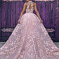 Pink A Line Court Train Halter Sleeveless Lace Appliques Long Prom Dresses