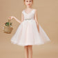 Halter-top V-neck Appliques Tulle Flower Girl Dresses with Sash