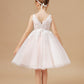Halter-top V-neck Appliques Tulle Flower Girl Dresses with Sash