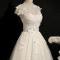 Champagne Lace Up Butterfly Appliques Tulle Homecoming Dress