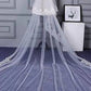 Charming Long Tulle Lace With Appliques Chapel Veils Wedding Veil V21 - Ombreprom