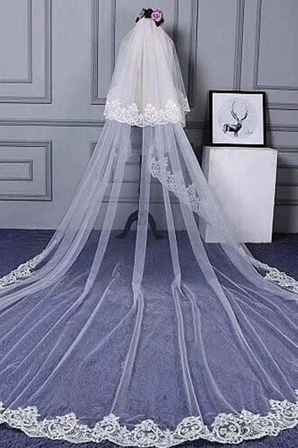 Charming Long Tulle Lace With Appliques Chapel Veils Wedding Veil V21 - Ombreprom