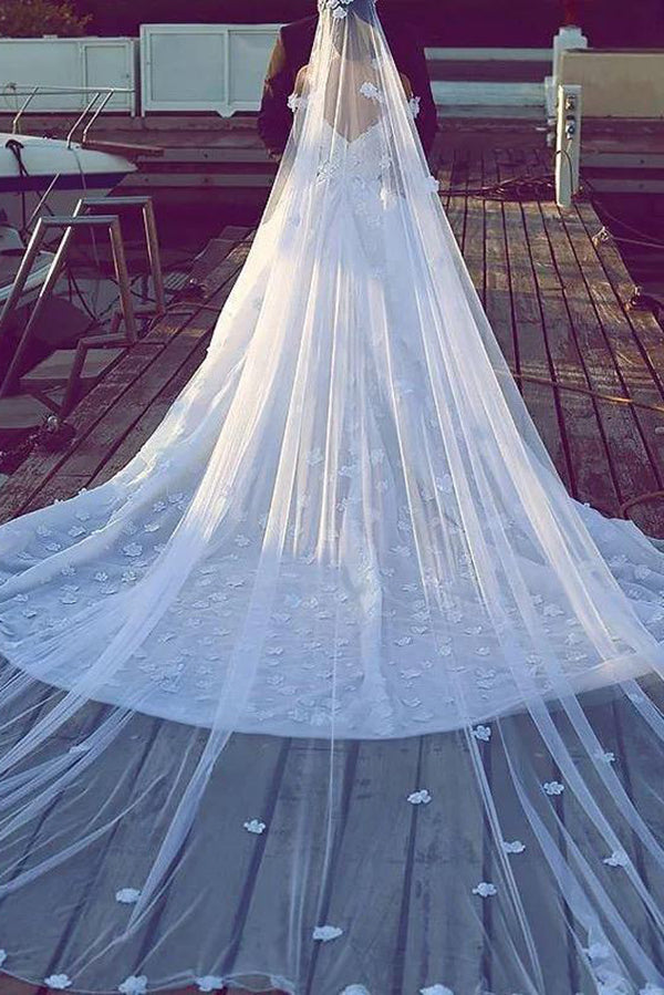 Elegant Chapel Veils Lace Appliques Long Wedding Veils