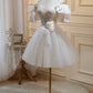 Off The Shoulder Tulle A Line Short Homecoming Dresses