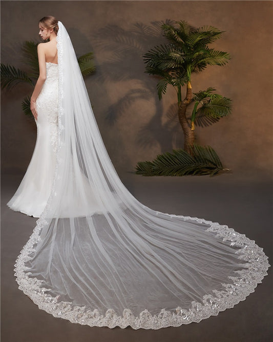 Elegant Lace Edge Cathedral Tulle With Applique Wedding Veils