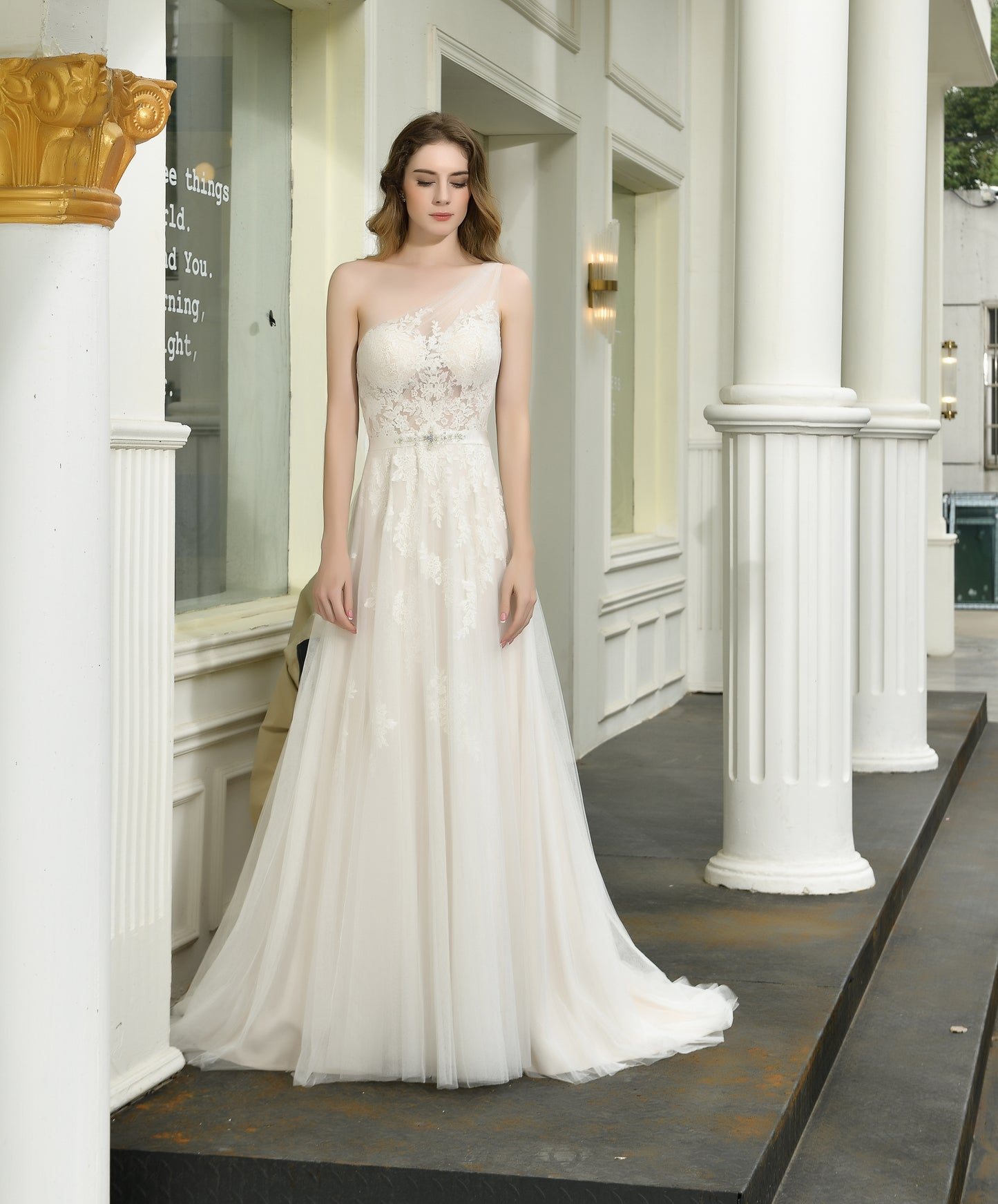 Elegant One Shoulder Sleeveless Tulle Appliques Wedding Dresses S33393