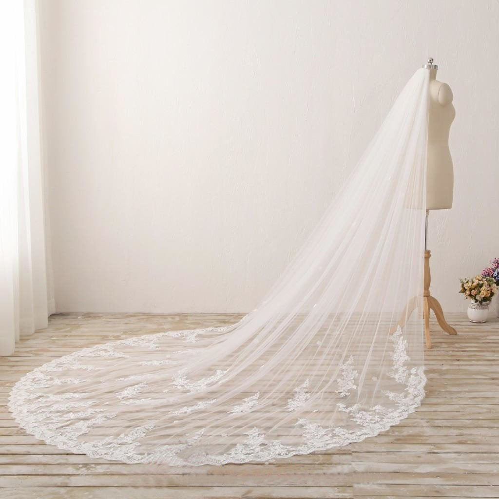 Chic 3M Long Tulle Lace With Applique Wedding Bridal Veil